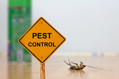 Pest Contol in Esher, Claygate, KT10. Call Now 020 8166 9746